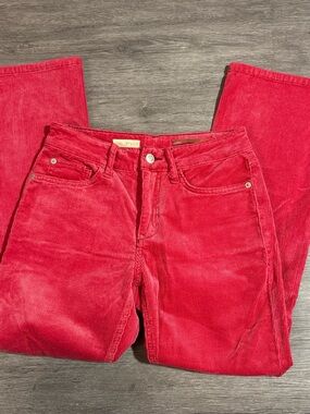 Pilcro Bright Pink Corduroy Pants